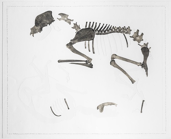 spring reunion (exhumed)