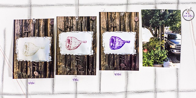 Installation view of Quarantine Walk Drawing Map installation, Palo Alto Art Center