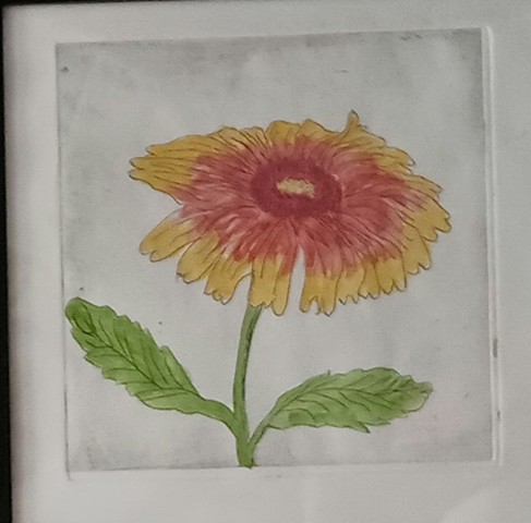 Gaillardia w watercolors 