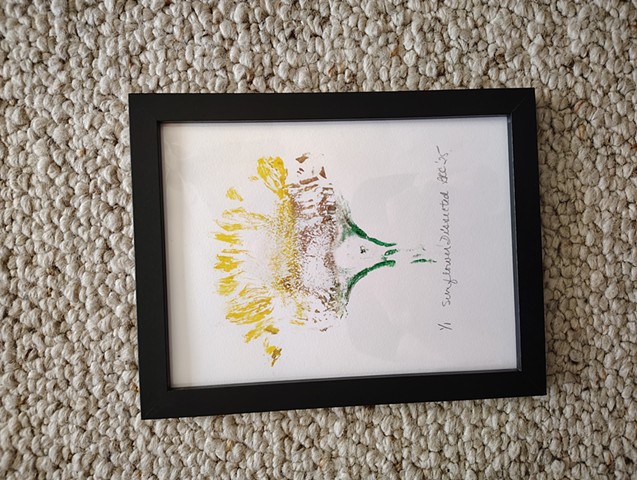 Sunflower Dissected