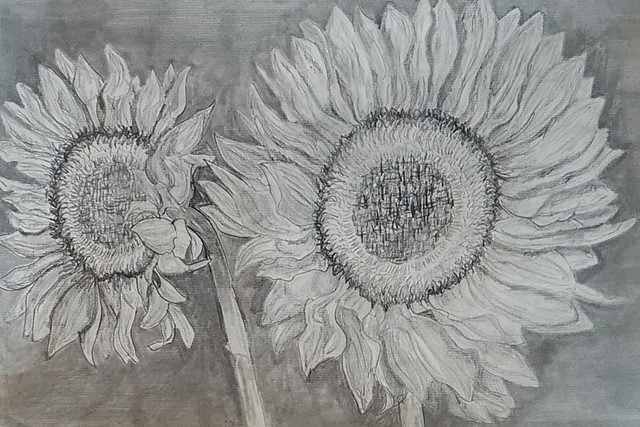 Homage to Georgia Sunflowers
