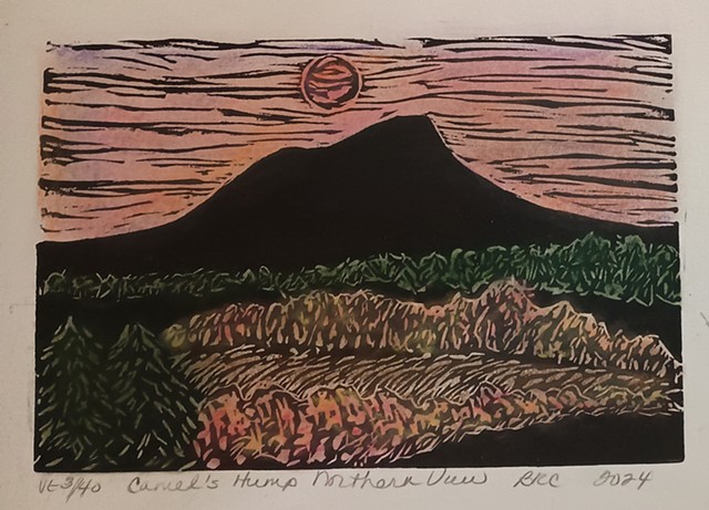 Camel's Hump Northern View 