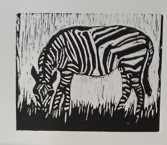Zebra's Eyes gray
