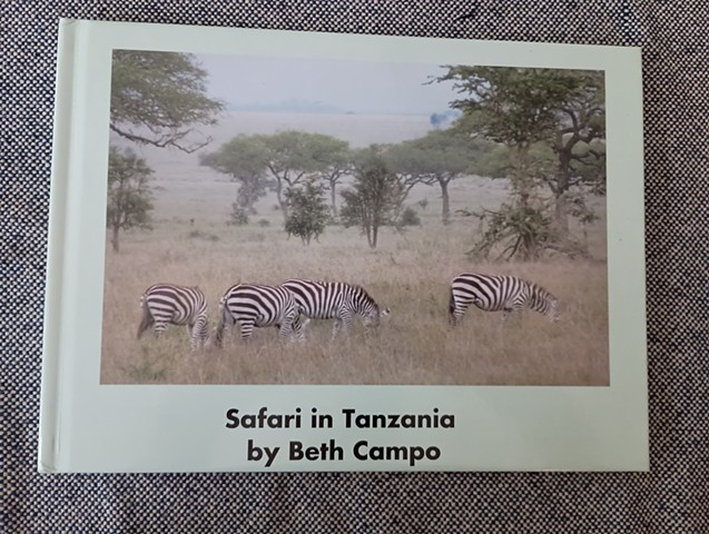 "Safari in Tanzania" Non-fiction picture book