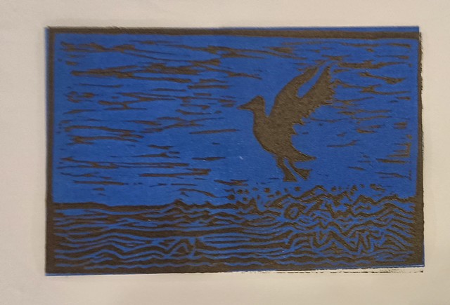 Duck in Flight Midnight