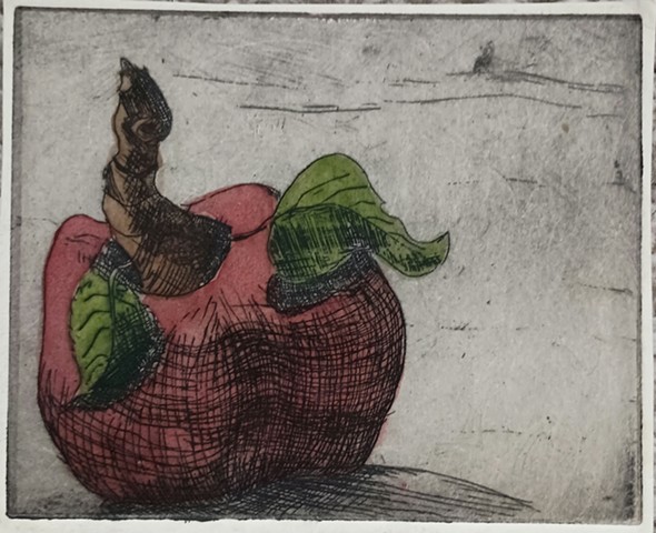 This apple was printed from an etching plate in 1972 and watercolored in 2023.