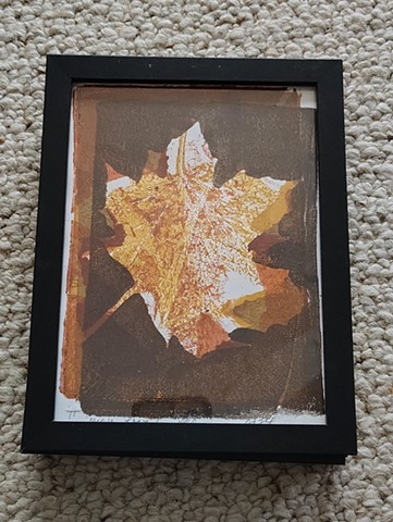 Maple Leaf  #1 