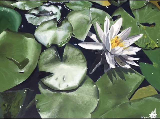 Water Lillies 
