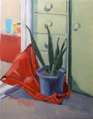 Snake Plant on a Red Plastic Bag