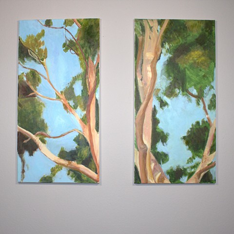 Eucalyptus Diptych