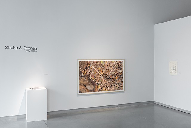 Ground Offerings Installation View