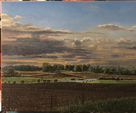 Freshly Watered Field