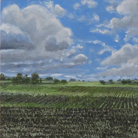 CLOUDS DANCING WITH CROPS