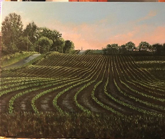 Crop Rows