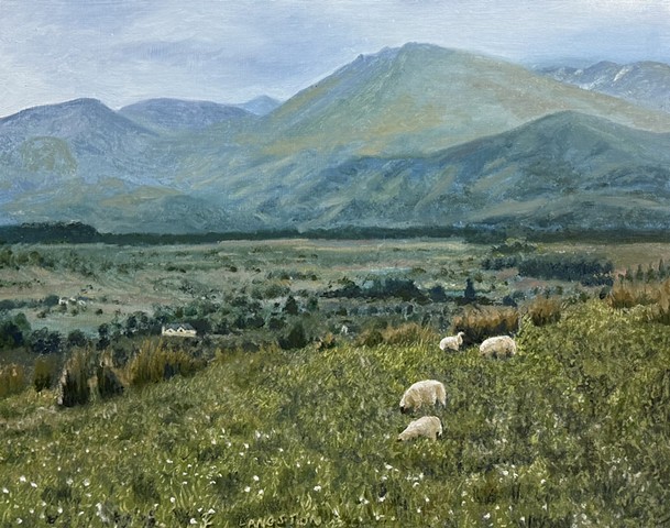 Sheep on the Hill