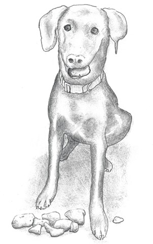 Rock Hound
