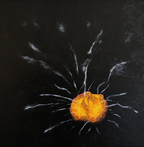 Cloud Chamber