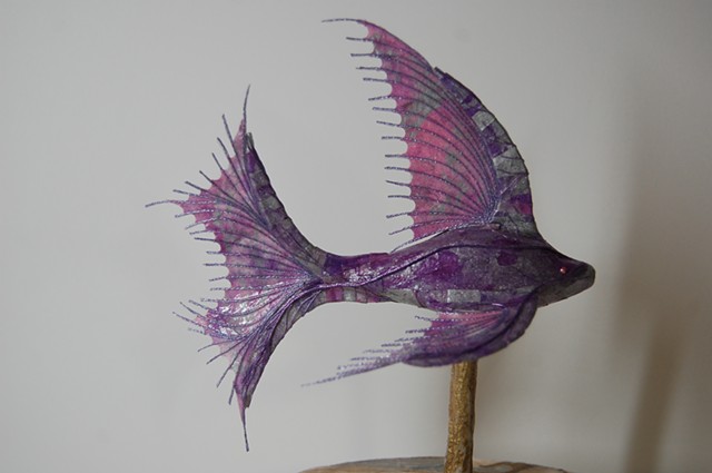 Purple fish 