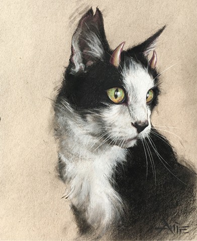 aimee kuester cat pet portrait charcoal pastel drawing feline devil lucifer commission animal pets horns domestic 