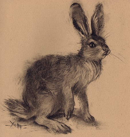 rabbit drawing charcoal bunny bun hare wild wild hare wildlife aimee kuester charcoal art for sale cute 