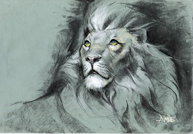 lion sketch theatre aimee kuester charcoal drawing original big cats king jungle aslan epic pastel 