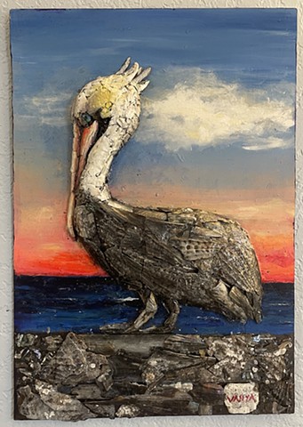 Pelican