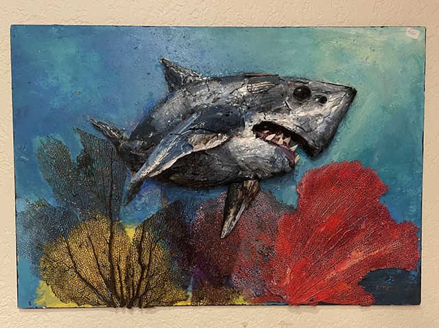 Shark in the Caribbean 