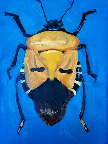 Mask Beetle Specimen