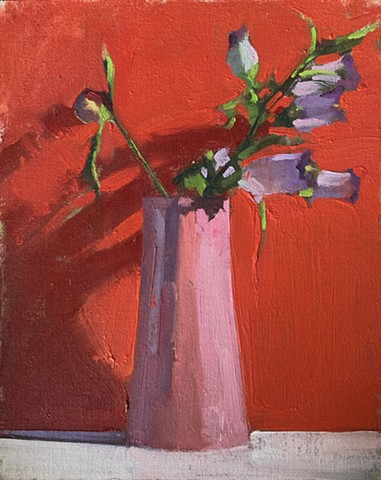 Campanula in Pink and Red