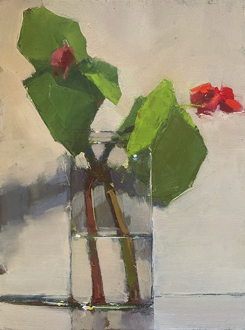 Begonia in Small Jar