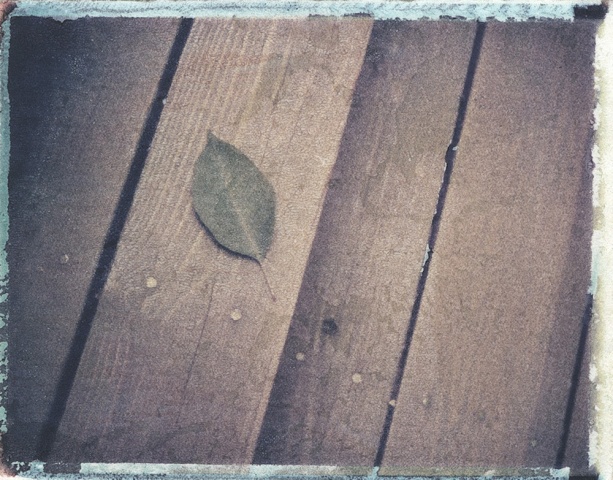 Leaf