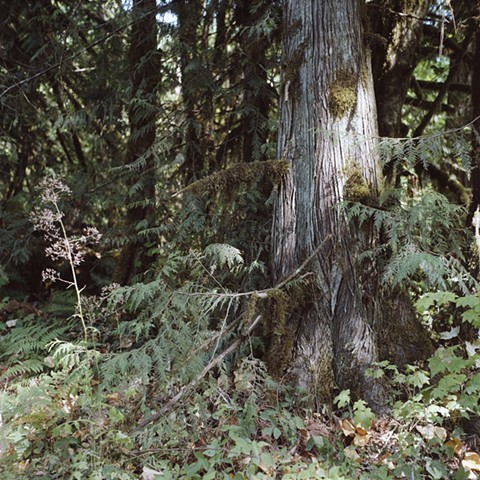 Skykomish, Washington