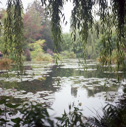 Monet's Lily Pond, Giverny, France