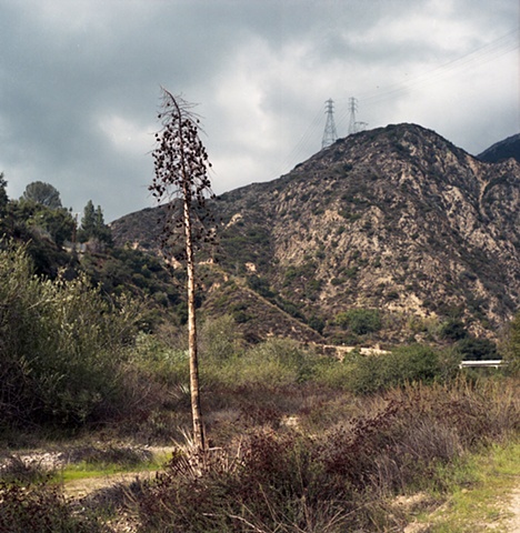 Eaton Canyon, California