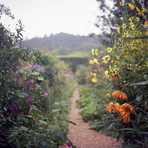 Monet's Garden, Giverny, France