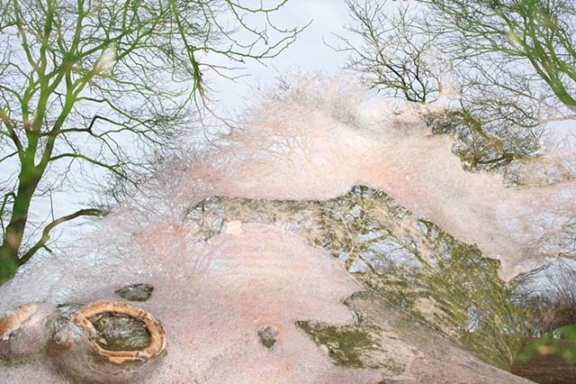 arboreal abstract macro landscape digital photomontage