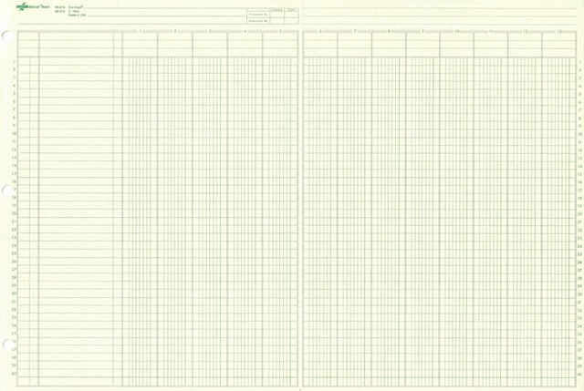 Drawings on gridded | ledger paper