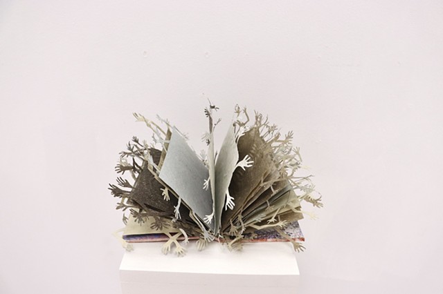 ARTIST BOOKS