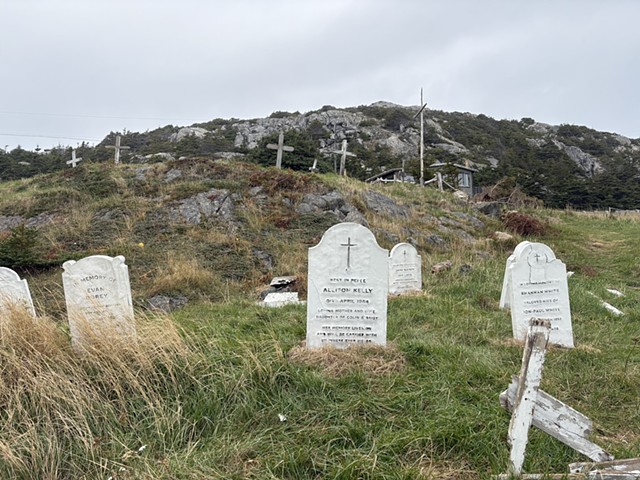 Untitled Newfoundland Project