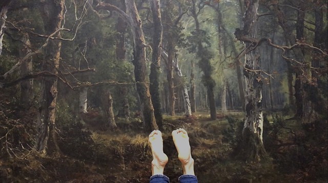 Il bosco in una stanza