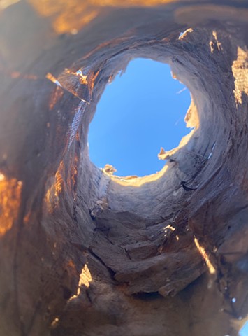 Heart of a Tree #2 (Maquette)