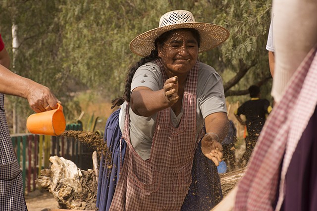 Mujer Trabajo