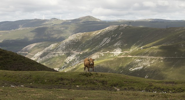 Camino- Spain