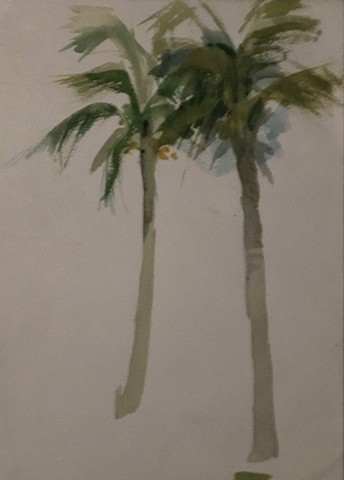 palm