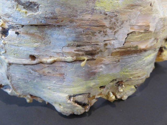 Demise of Birch - detail