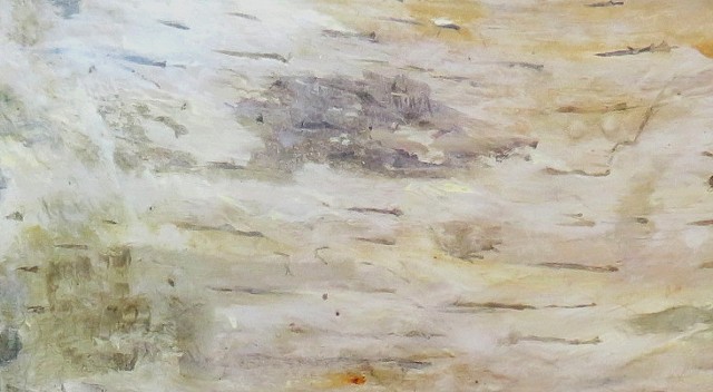 White birch - detail