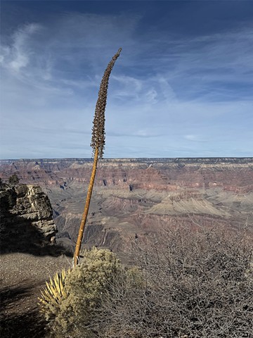 Grand Canyon Soldier