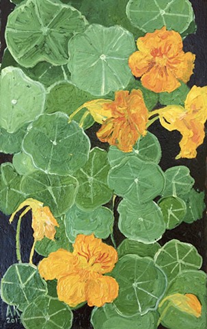 Nasturium