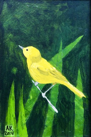 Yellow Warbler Perched