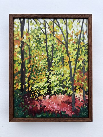 Huckleberry Understory